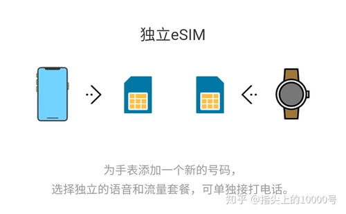 电信携号转网业务 畅享自由选择，体验便捷服务